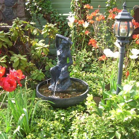 Vila Florena Garden Palanga Dış mekan fotoğraf