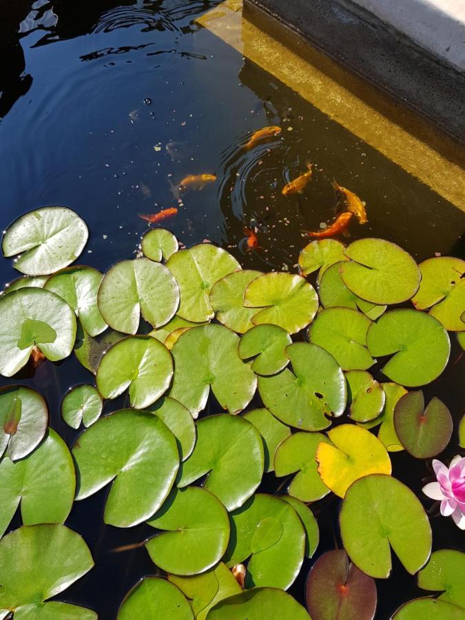Vila Florena Garden Palanga Dış mekan fotoğraf