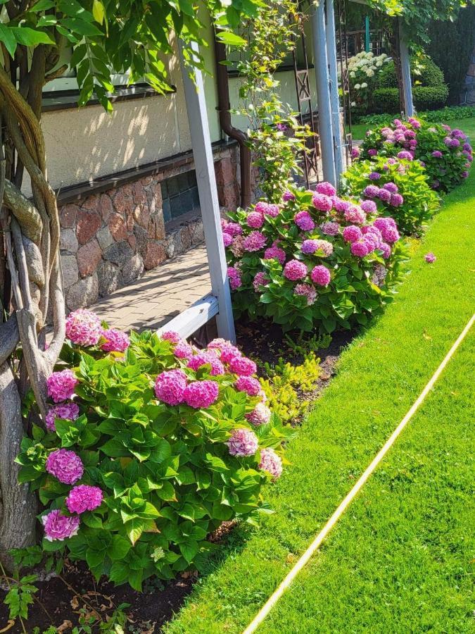 Vila Florena Garden Palanga Dış mekan fotoğraf