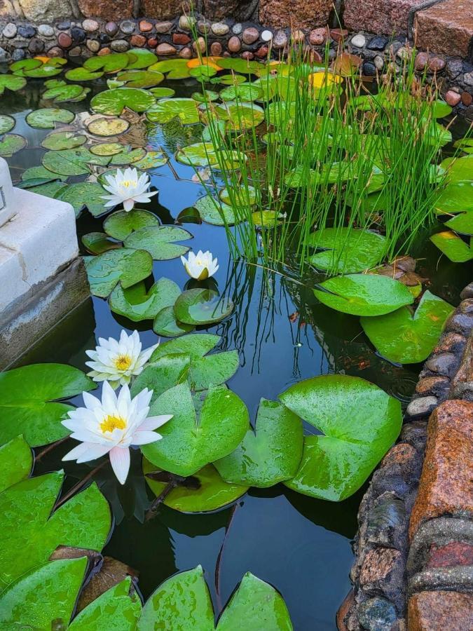Vila Florena Garden Palanga Dış mekan fotoğraf